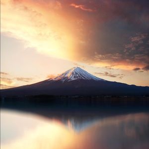 Meet your Posher, Kurtlen